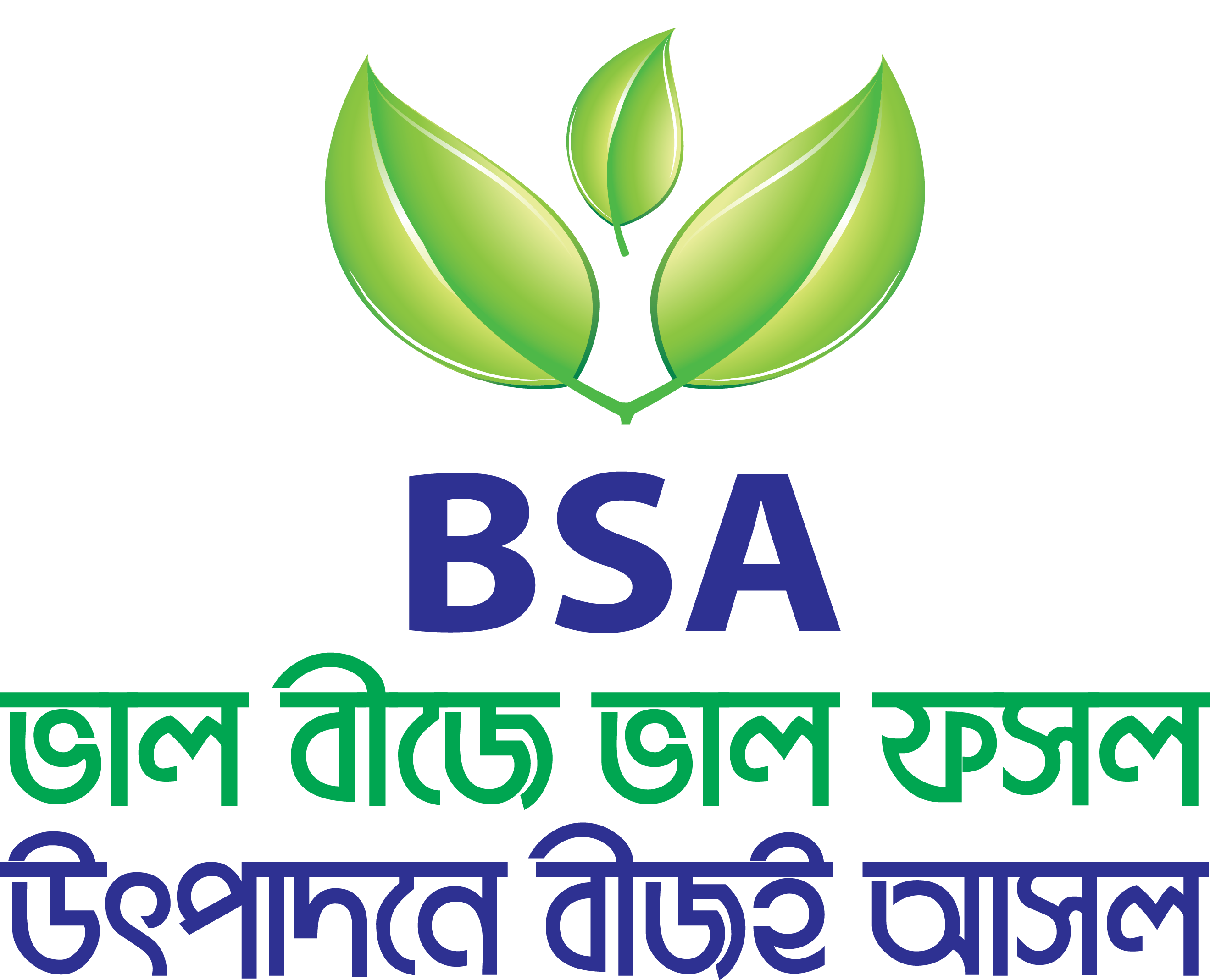 BSA Logo